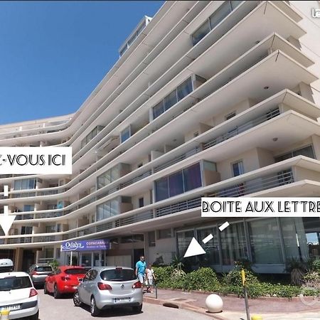 Appart Face A La Mer Les Pieds Dans L'Eau Canet-en-Roussillon Exterior foto